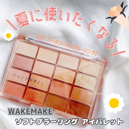 ソフトブラーリングアイパレット/wakemake/アイシャドウパレットを使ったクチコミ(1枚目)