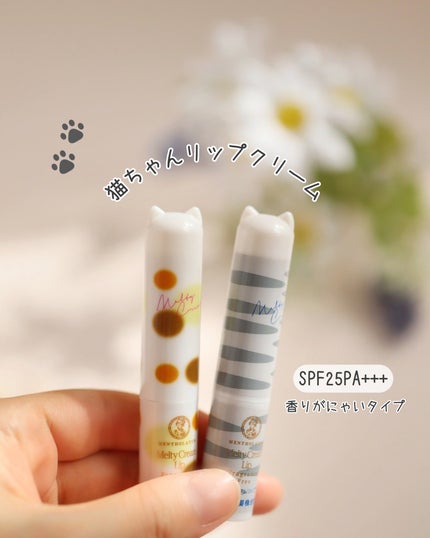 メルティクリームリップ/メンソレータム/リップクリームを使ったクチコミ(1枚目)