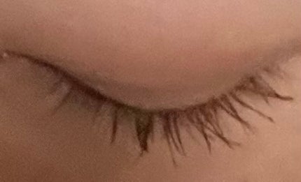 クイックラッシュカーラー/キャンメイク/マスカラ下地を使ったクチコミ(6枚目)