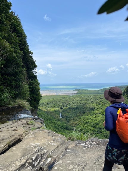 オルビス リンクルブライトUVプロテクター/オルビス/日焼け止めクリームを使ったクチコミ(4枚目)