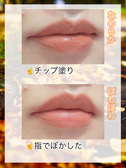 インク ベルベット/PERIPERA/口紅を使ったクチコミ(3枚目)