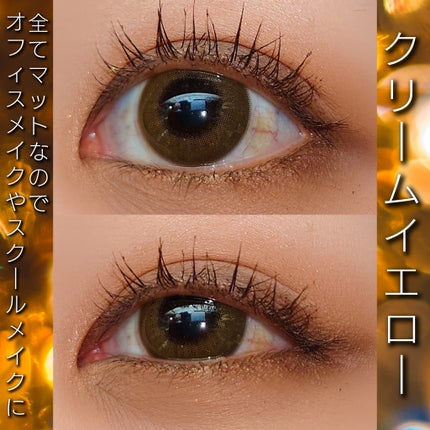 アイシャドウパレット/MIRIMU/アイシャドウパレットを使ったクチコミ(5枚目)