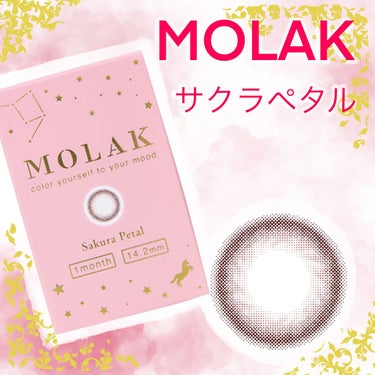 MOLAK 1month サクラペタル/MOLAK/１ヶ月（１MONTH）カラコンを使ったクチコミ（1枚目）