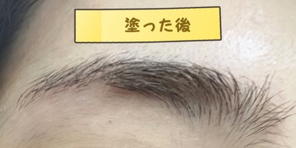 ハンオールブロウカラ/rom&nd/眉マスカラを使ったクチコミ(5枚目)