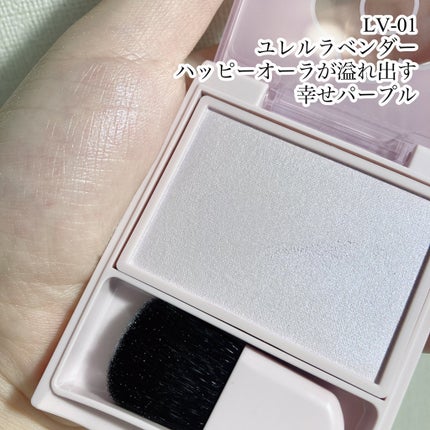 アディクション ザ ブラッシュ マット/ADDICTION/パウダーチークを使ったクチコミ(8枚目)