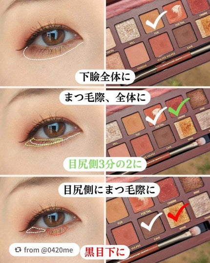 エクスプローラ12色 動物アイシャドウパレット/PERFECT DIARY/アイシャドウパレットを使ったクチコミ(5枚目)