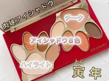 トラ十色アイシャドウパレット/COLORKEY/アイシャドウパレットを使ったクチコミ(1枚目)