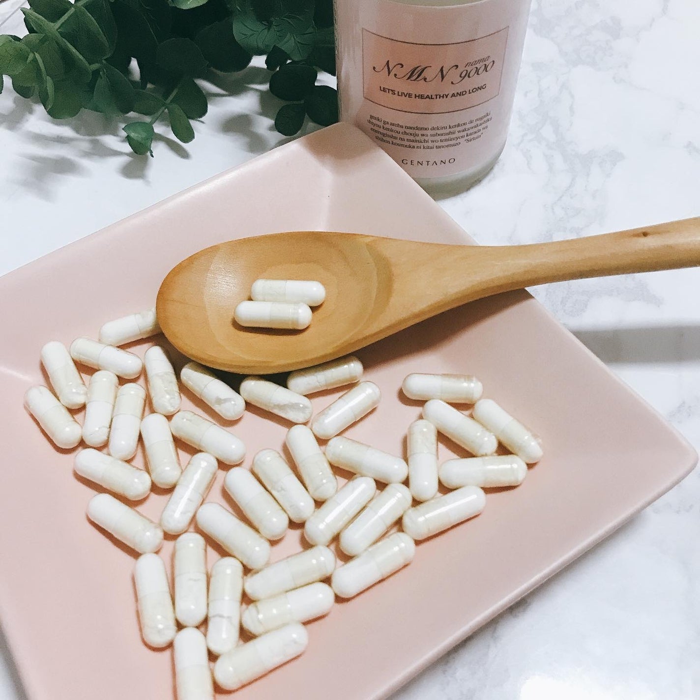 GENTANO NMN 9000/GENTANO/美容サプリメントを使ったクチコミ(4枚目)