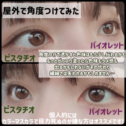 ラッシュエキスパンダー ロングロングロング EX/MAJOLICA MAJORCA/マスカラを使ったクチコミ(10枚目)