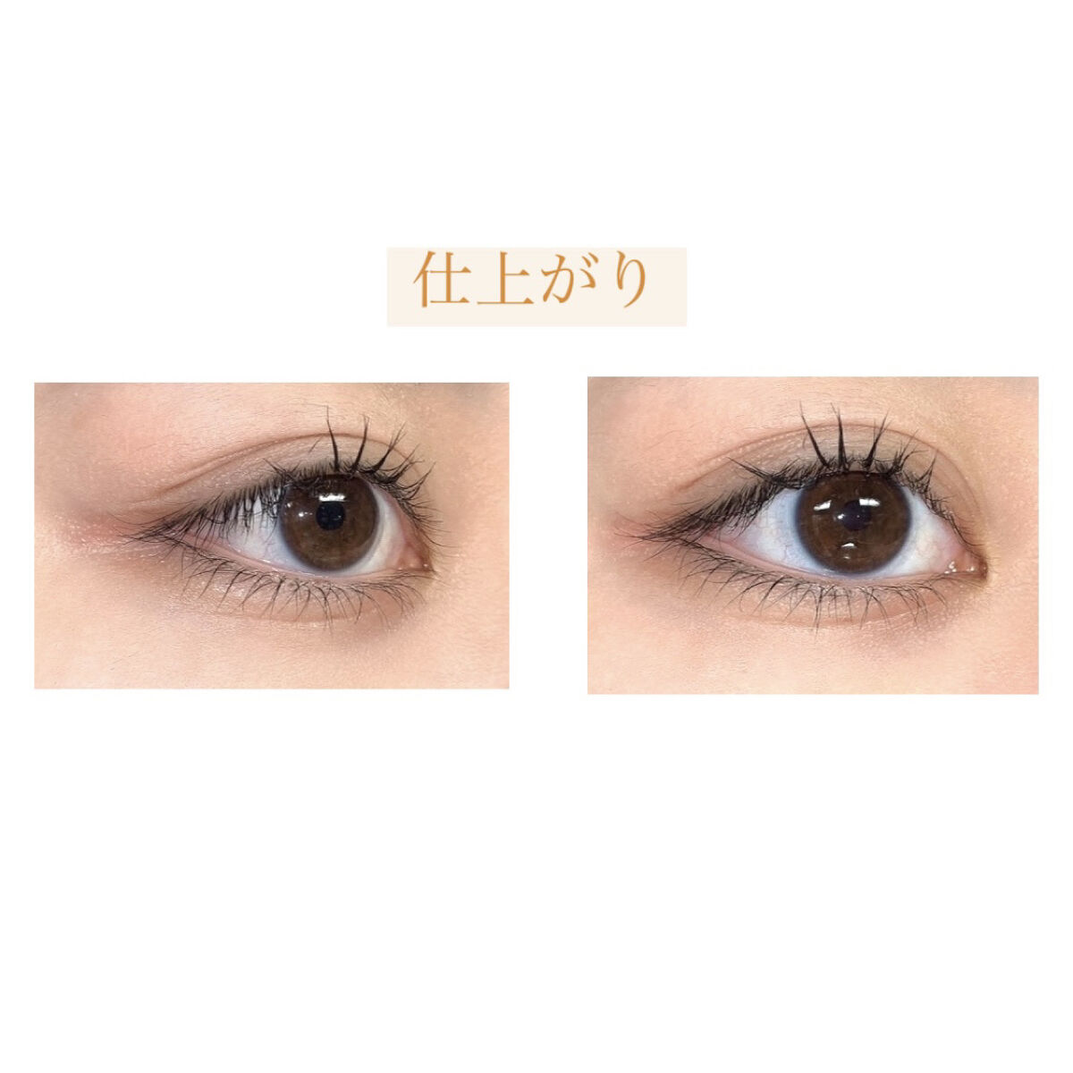 エテュセ アイエディション (マスカラベース)/ettusais/マスカラ下地を使ったクチコミ（2枚目）