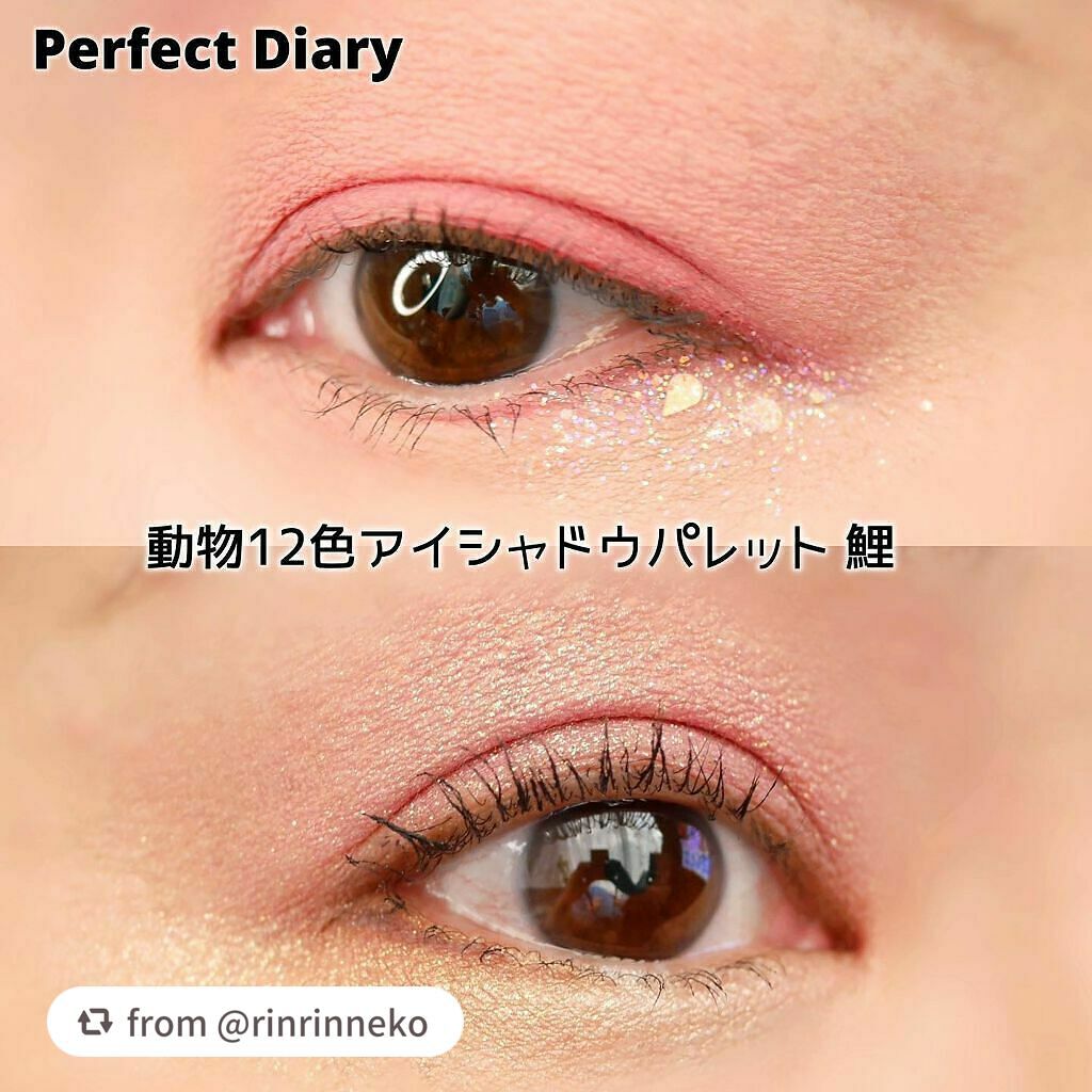 エクスプローラ12色 動物アイシャドウパレット/PERFECT DIARY/アイシャドウパレットを使ったクチコミ(8枚目)
