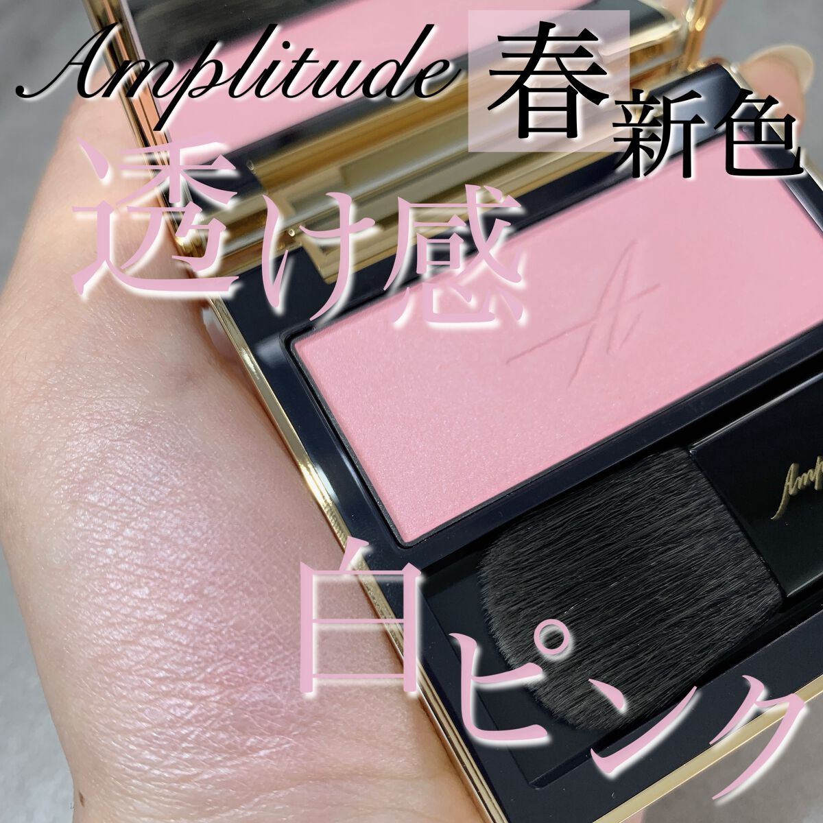 通販 アンプリチュード コンスピキュアス モノチークス 02 05セット
