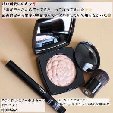 スティロ ルミエール ルガール/CHANEL/リキッドアイシャドウを使ったクチコミ（3枚目）