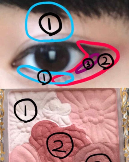 グロウフルールチークス/キャンメイク/パウダーチークを使ったクチコミ(3枚目)