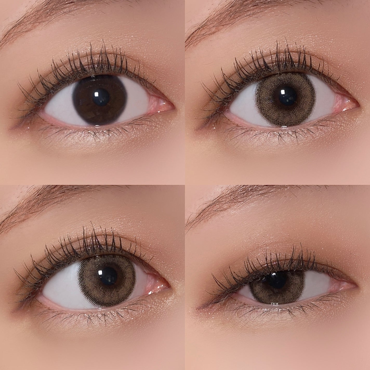 ViVi Ring 1day/OLENS/ワンデー(1DAY)カラコンを使ったクチコミ(6枚目)