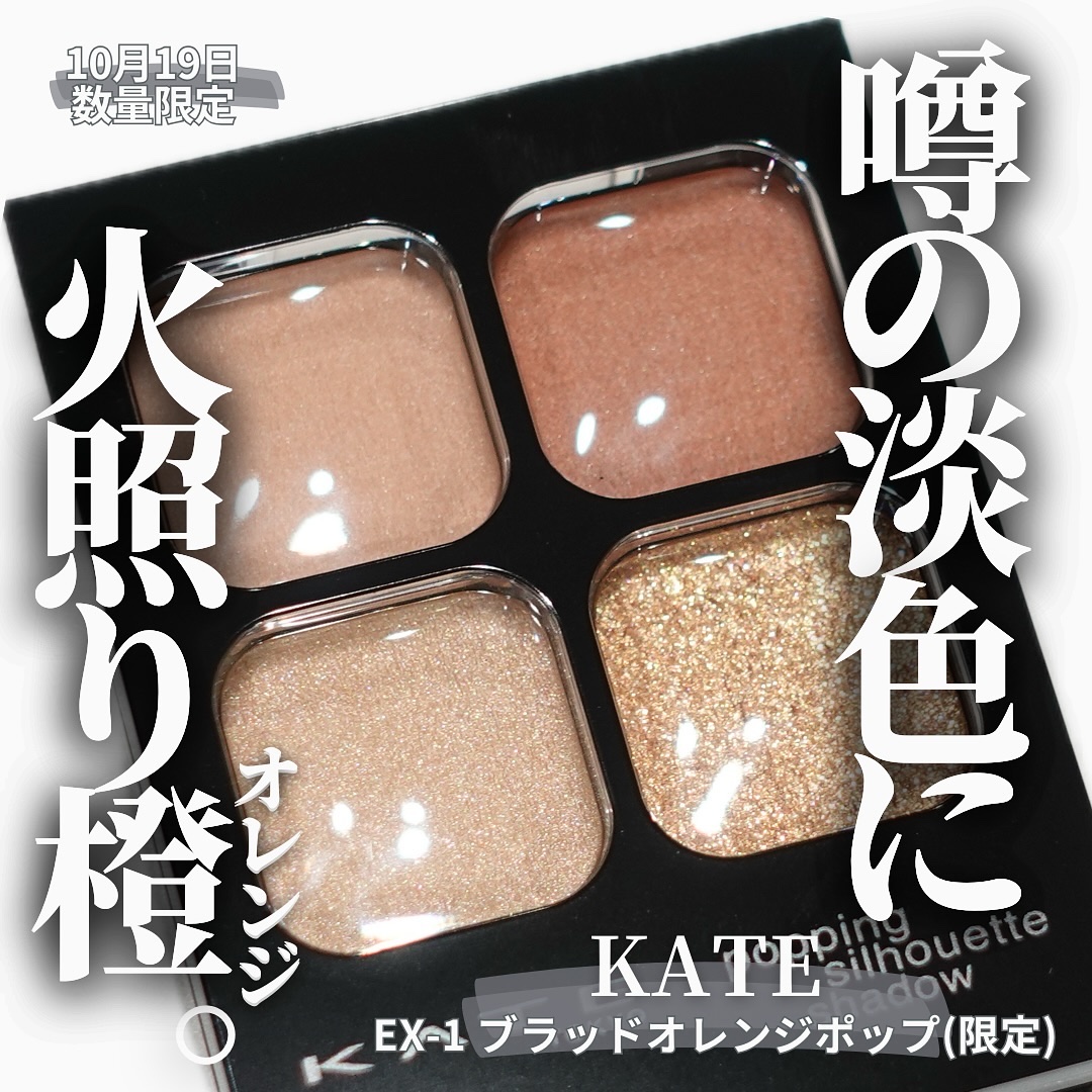 ケイト ポッピングシルエットシャドウ/KATE/アイシャドウパレットを使ったクチコミ（1枚目）