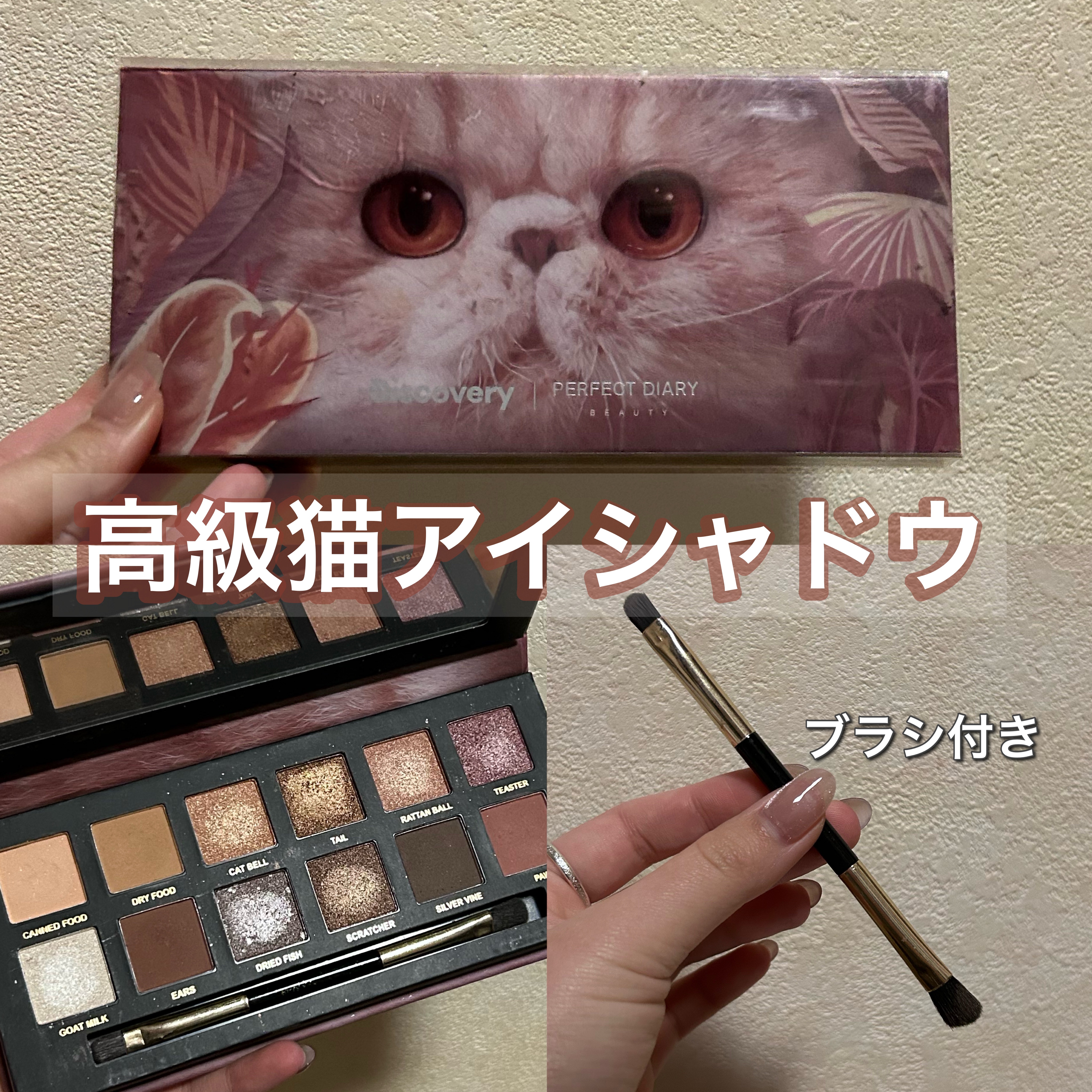 エクスプローラ12色 動物アイシャドウパレット/PERFECT DIARY/アイシャドウパレットを使ったクチコミ（1枚目）