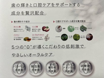 SUMIZUMI KIRARI/伊都自然工房/歯磨き粉を使ったクチコミ(7枚目)