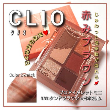 プロ アイパレット ミニ/CLIO/アイシャドウパレットを使ったクチコミ（1枚目）