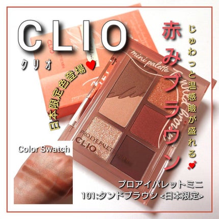 プロ アイパレット ミニ/CLIO/アイシャドウパレットを使ったクチコミ(1枚目)