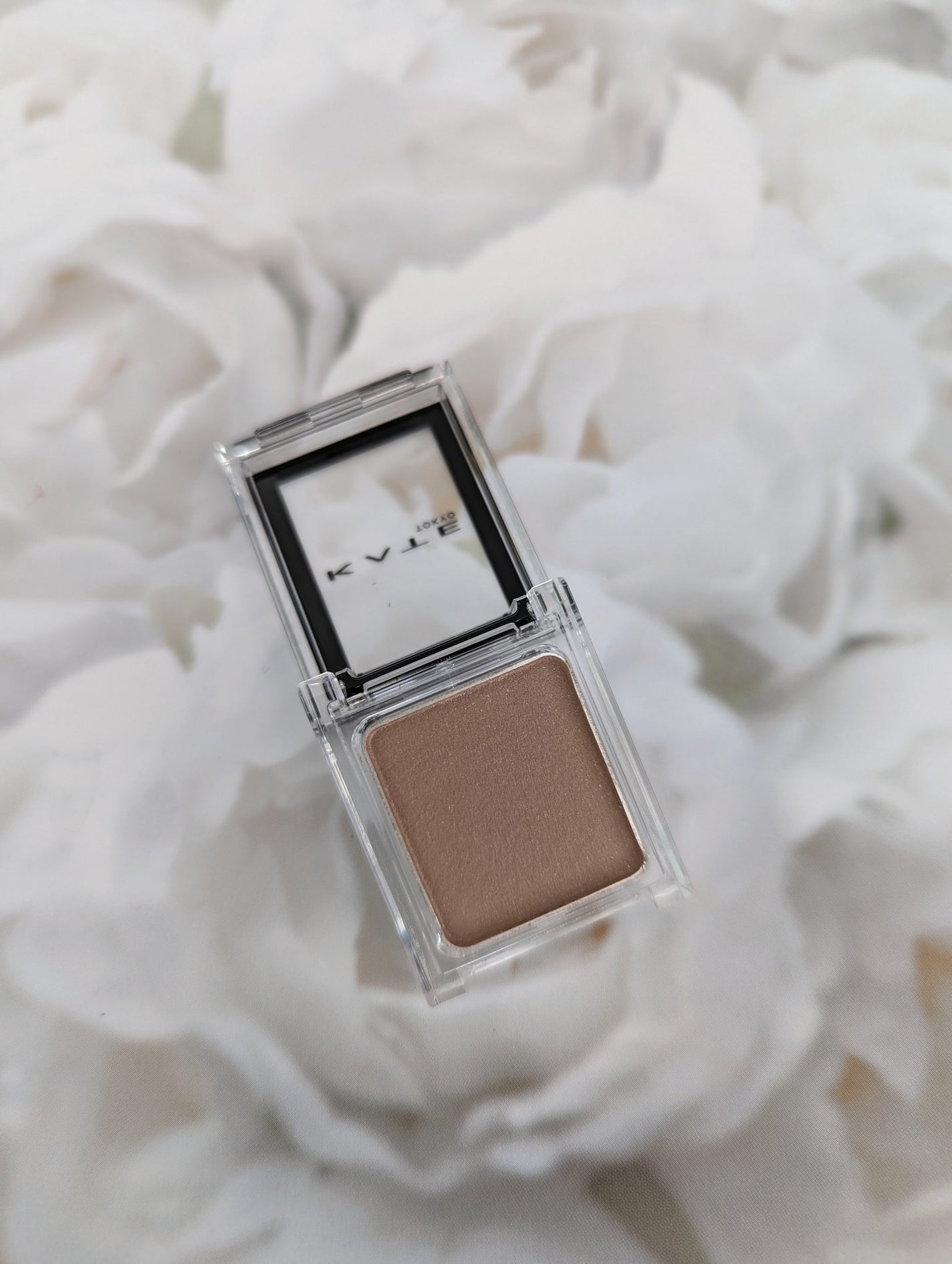 ケイト ザ アイカラー/KATE/単色アイシャドウを使ったクチコミ(2枚目)