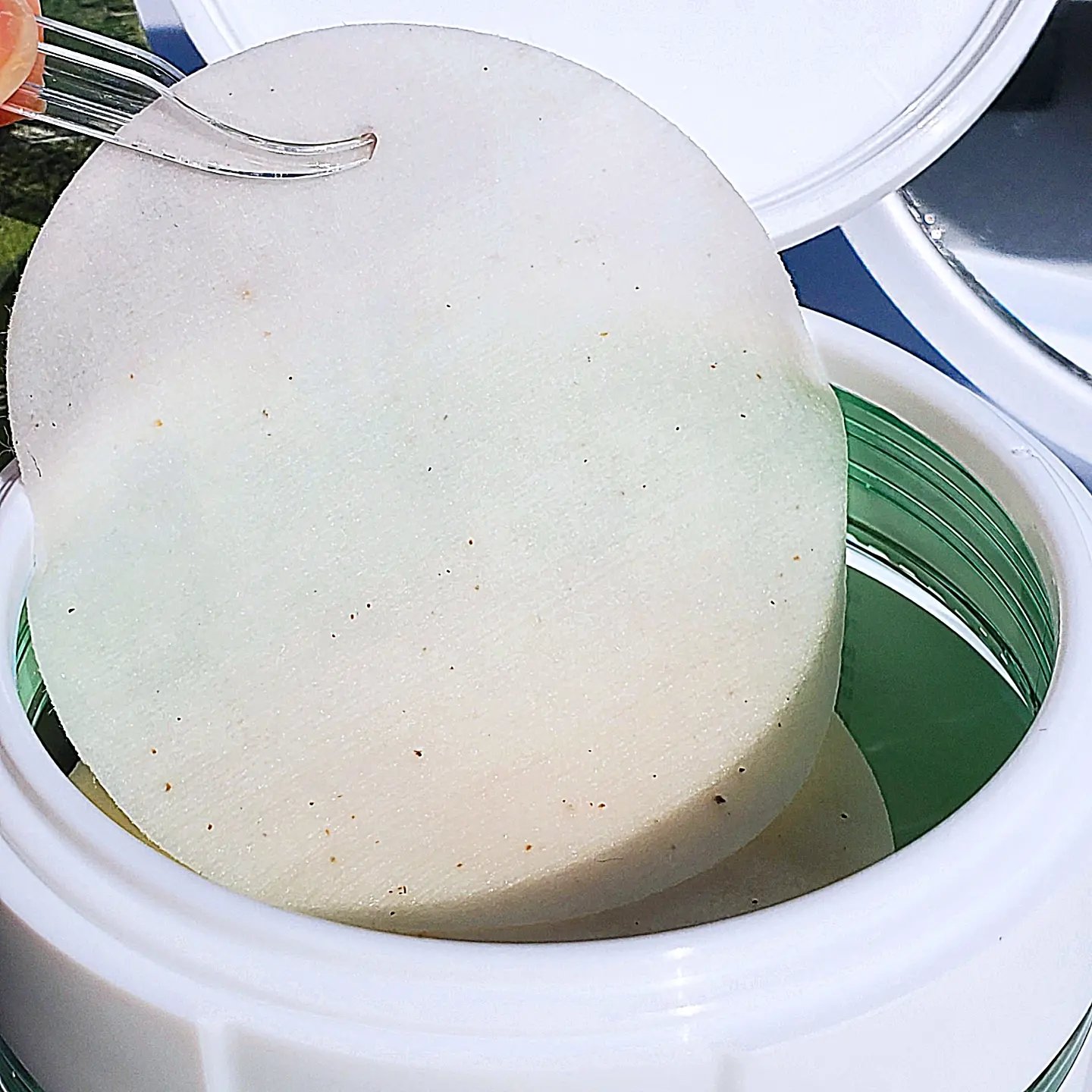 シカマヌ　コットンクリアパッド/parnell/トナーパッドを使ったクチコミ（2枚目）