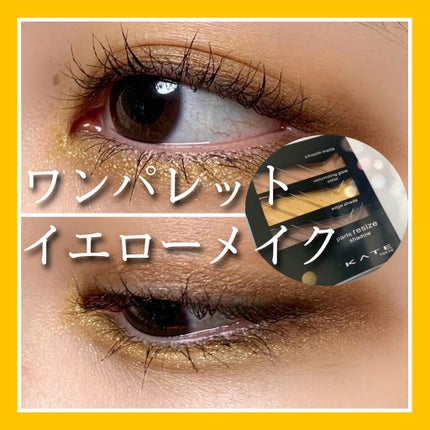 パーツリサイズシャドウ YL-1 キャメルイエロー/KATE/アイシャドウパレットを使ったクチコミ(1枚目)