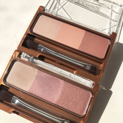 ノーズ&アイブロウパウダー/CEZANNE/パウダーアイブロウを使ったクチコミ(1枚目)