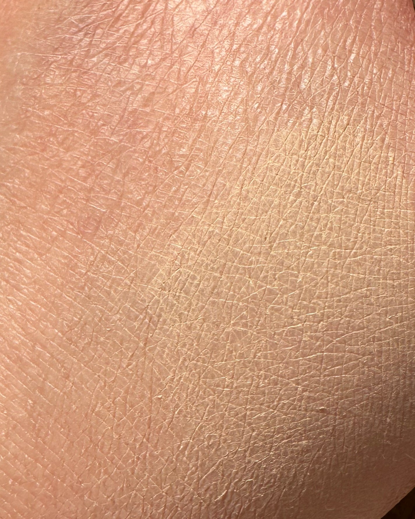 ウォータフルトーンアップサンクリーム/ダルバ/日焼け止めクリームを使ったクチコミ(3枚目)