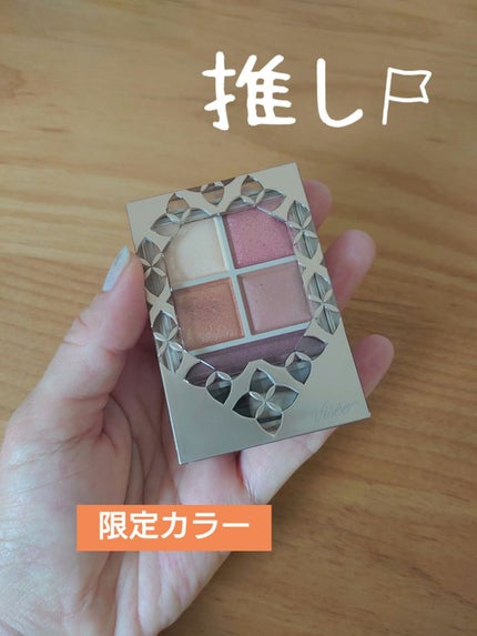 パノラマデザイン アイパレット/Visée/アイシャドウパレットを使ったクチコミ(1枚目)