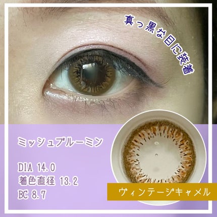 ミッシュ ブルーミン ワンデー (クォーターヴェール シリーズ/イノセント シリーズ)/ミッシュブルーミン/ワンデー(1DAY)カラコンを使ったクチコミ(1枚目)