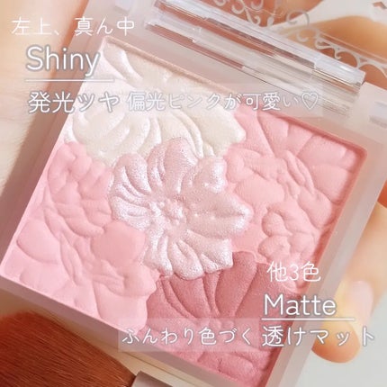 グロウフルールチークス(ブレンドタイプ)/キャンメイク/パウダーチークを使ったクチコミ(3枚目)