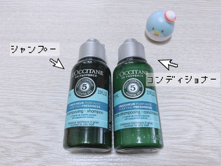 ファイブハーブス ピュアフレッシュネス シャンプー/コンディショナー/L'OCCITANE/市販シャンプーを使ったクチコミ(2枚目)