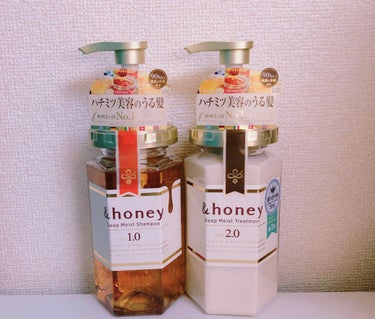 ディープモイスト シャンプー1.0／ヘアトリートメント2.0/&honey/シャンプー・コンディショナーを使ったクチコミ（1枚目）