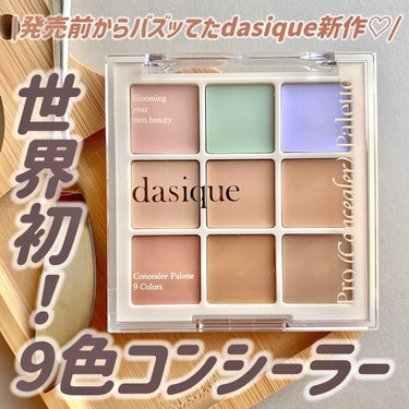 プロコンシーラーパレット/dasique/コンシーラーを使ったクチコミ（1枚目）