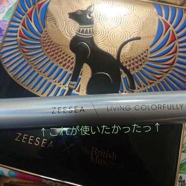 大英博物館 エジプトシリーズ アイシャドウパレット/ZEESEA/アイシャドウパレットを使ったクチコミ（4枚目）