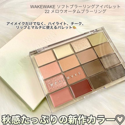 ソフトブラーリングアイパレット/wakemake/アイシャドウパレットを使ったクチコミ(2枚目)
