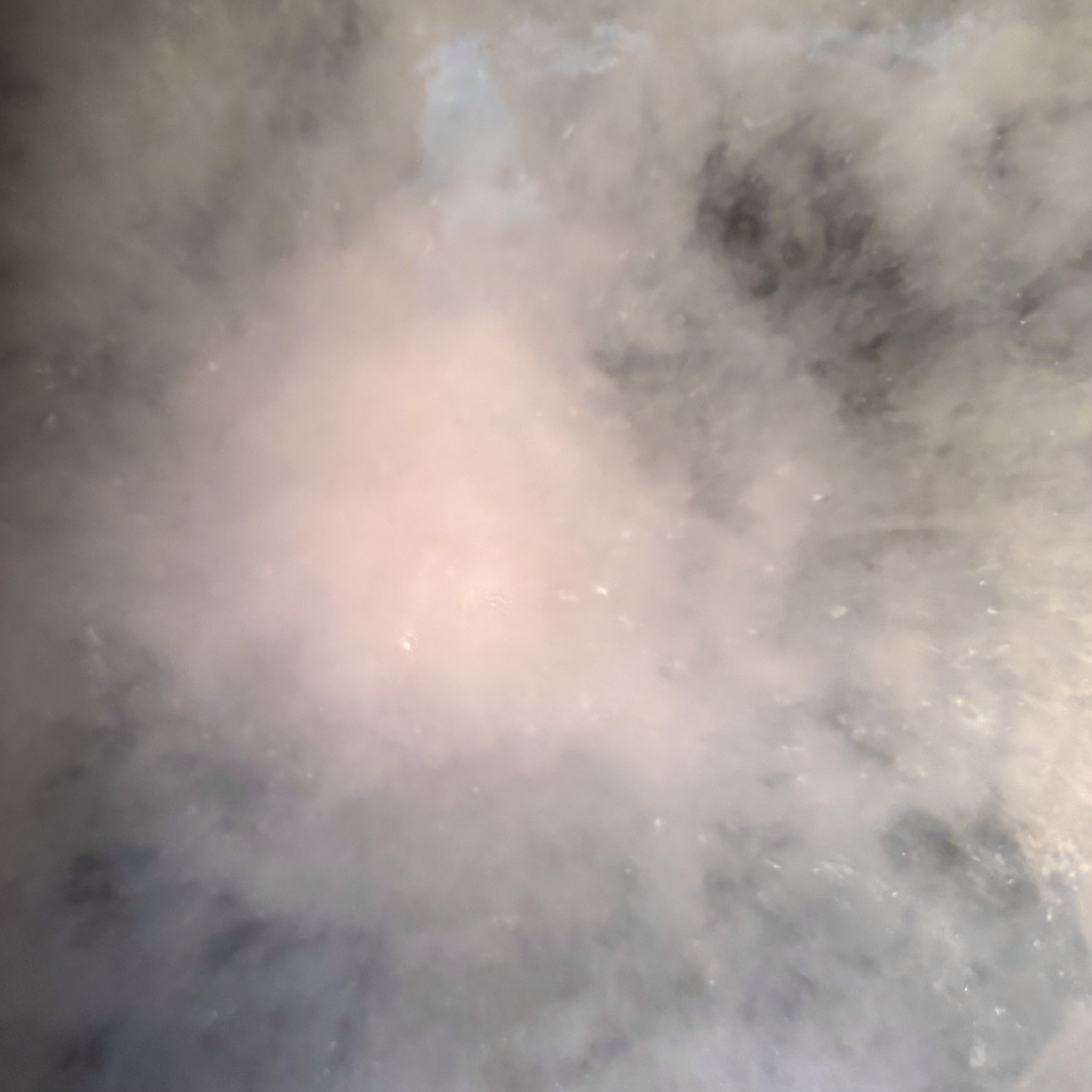 カームナイトドリーミング　バスタブレット/YOLU/炭酸系入浴剤を使ったクチコミ（3枚目）