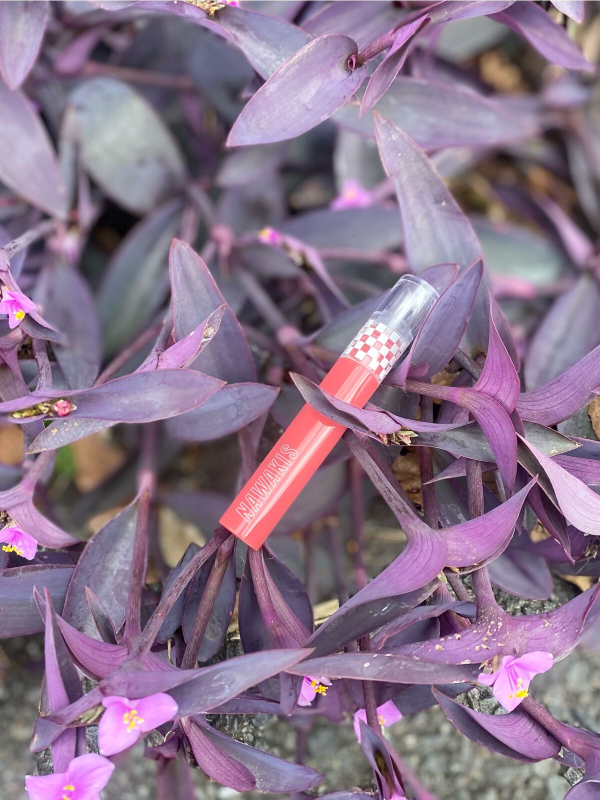 NAWAKIS MOISTY AURA TINT/NAWAKIS/口紅を使ったクチコミ(6枚目)