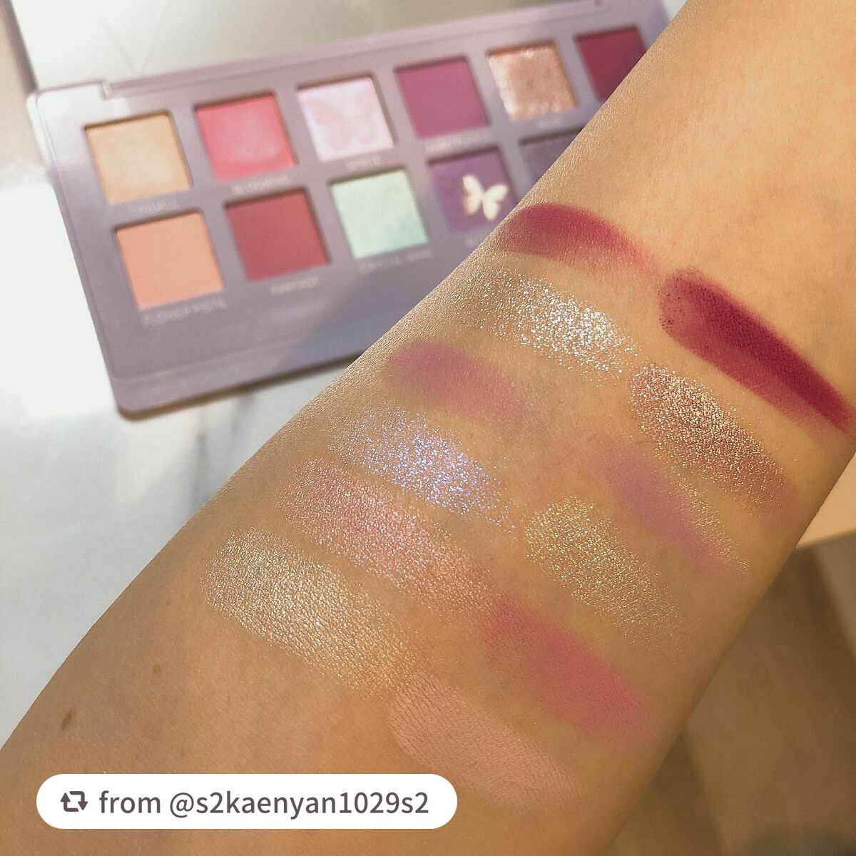 エクスプローラ12色 動物アイシャドウパレット/PERFECT DIARY/アイシャドウパレットを使ったクチコミ(5枚目)