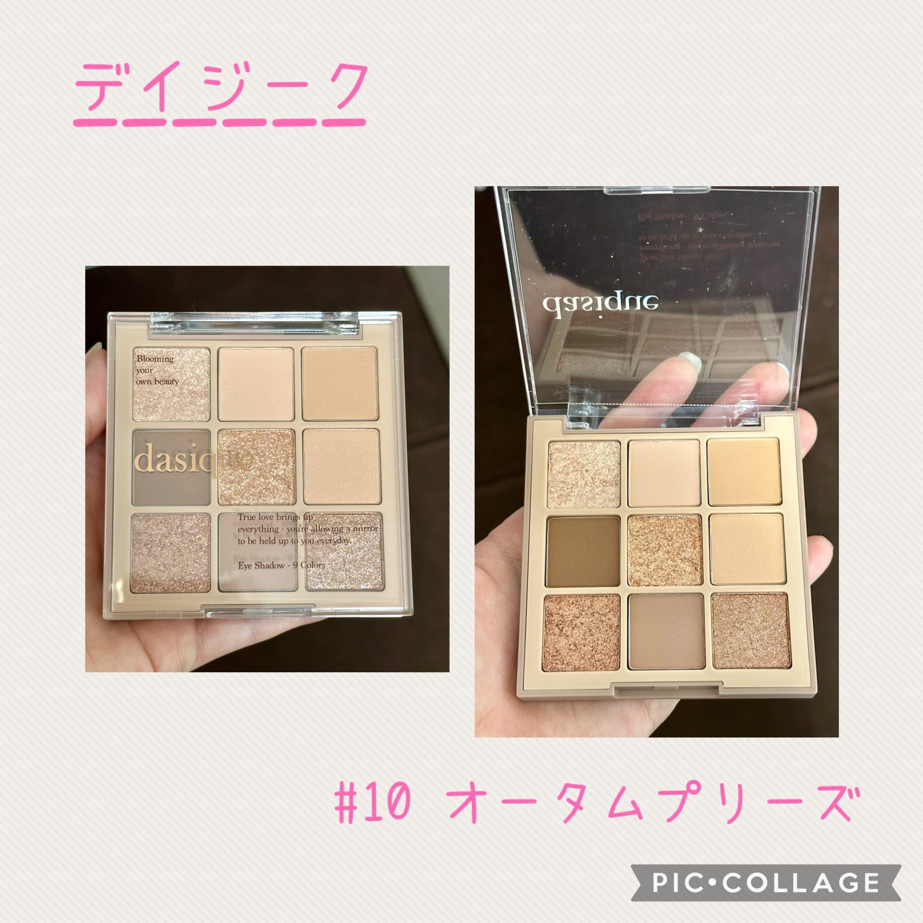 シャドウパレット 10 オータムブリーズ/dasique/アイシャドウパレットを使ったクチコミ（1枚目）