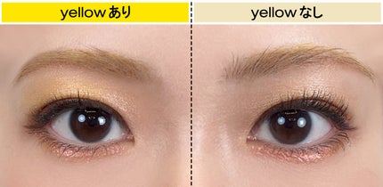 アイ フォイル/shu uemura/リキッドアイシャドウを使ったクチコミ(6枚目)