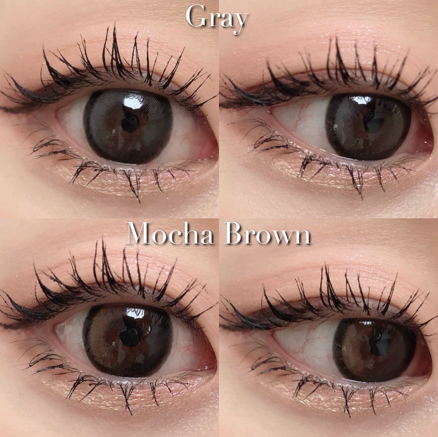 Big Glowy 1day/OLENS/ワンデー(1DAY)カラコンを使ったクチコミ(5枚目)