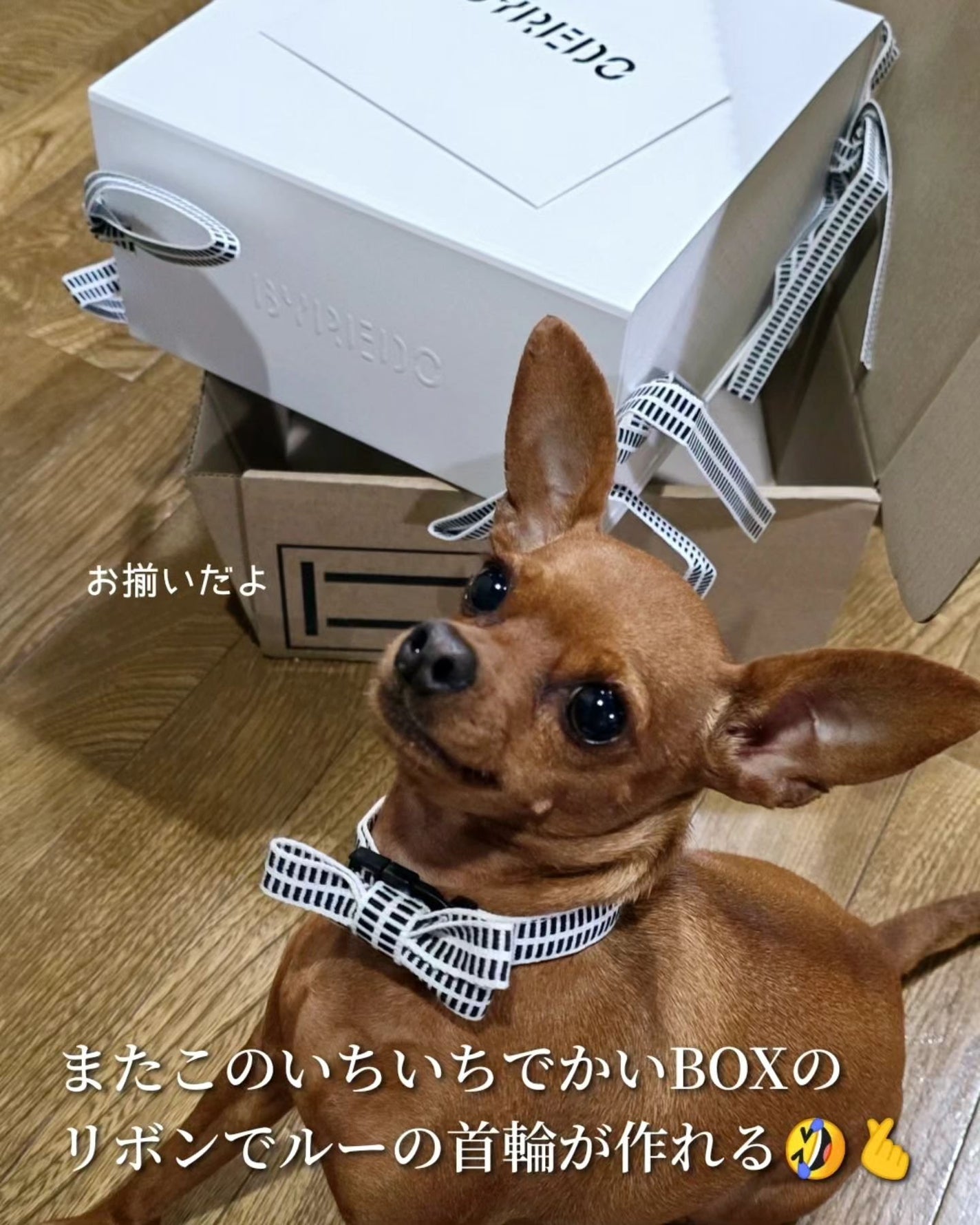 モハーヴェ ゴースト アブソリュ オードパルファン/BYREDO/香水(その他)を使ったクチコミ(6枚目)