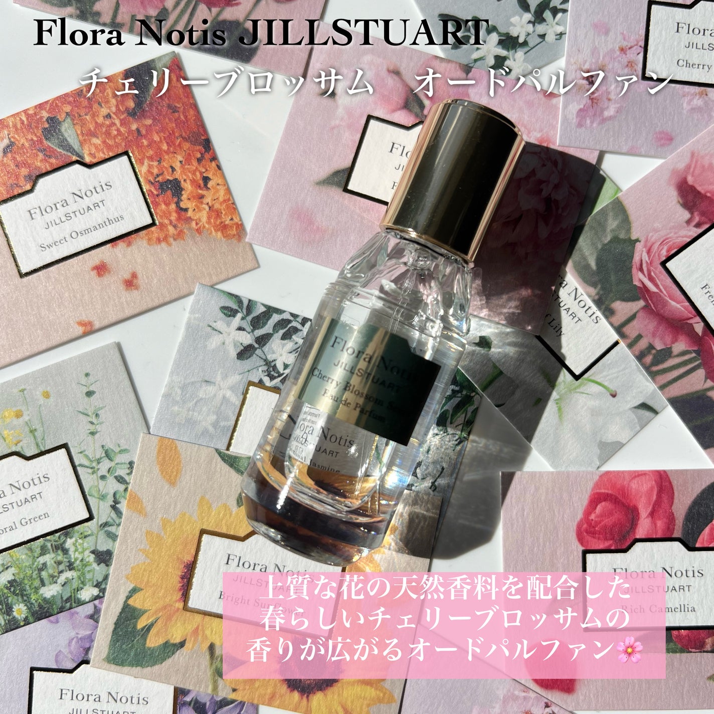 チェリーブロッサム オードパルファン&リペアヘアオイル/Flora Notis JILL STUART/その他キットセットを使ったクチコミ(4枚目)