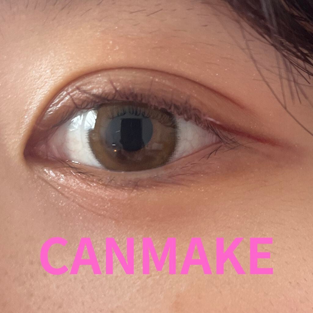 シルキースフレアイズ(マットタイプ)/キャンメイク/アイシャドウパレットを使ったクチコミ(1枚目)