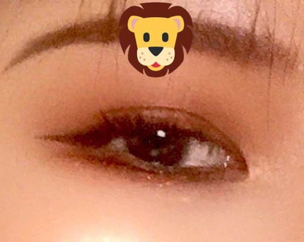 デイリズムアイパレット/heimish/アイシャドウパレットを使ったクチコミ(1枚目)