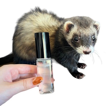 Style&Tune Oil ラボリカヘアオイル/Laborica(ラボリカ)/その他スタイリングを使ったクチコミ(8枚目)