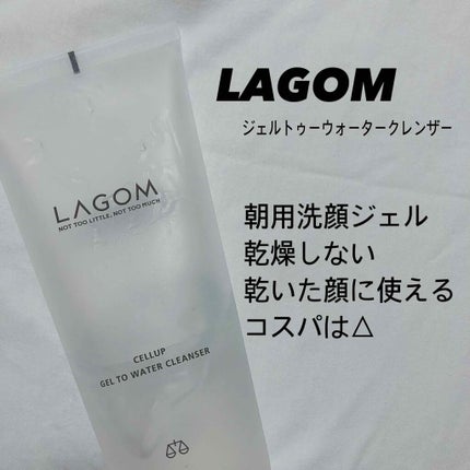ラゴム ジェルトゥウォーター クレンザー(朝用洗顔)/LAGOM /その他洗顔料を使ったクチコミ(1枚目)