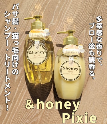 【＆honey ピクシーモイストシルキー　シャンプー1.0/ヘアトリートメント2.0】

こちらはLIPSクリエイターミートアップで、＆honey様よりいただきました。

2023年9月に発売された、"